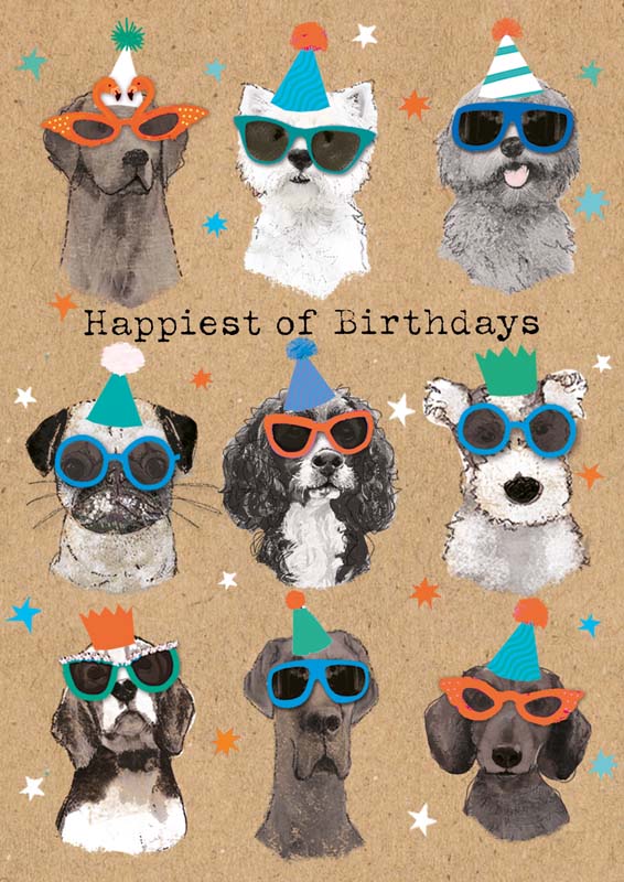 Pack of two illustrated birthday cards featuring party dogs and party cats wearing hats and sunglasses