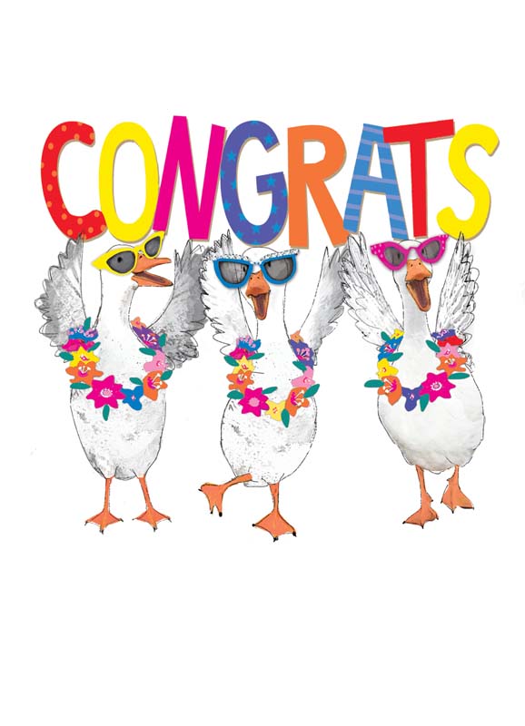 2 pack greeting cards with colourful geese illustration, congrats card and happy birthday card set