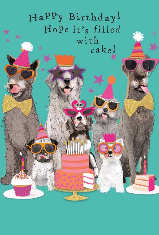 Pack of 2 Funny Animal Birthday Cards Cats and Dogs