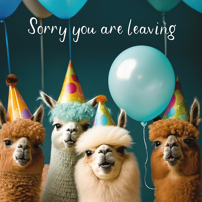 Sorry You're Leaving Llamas