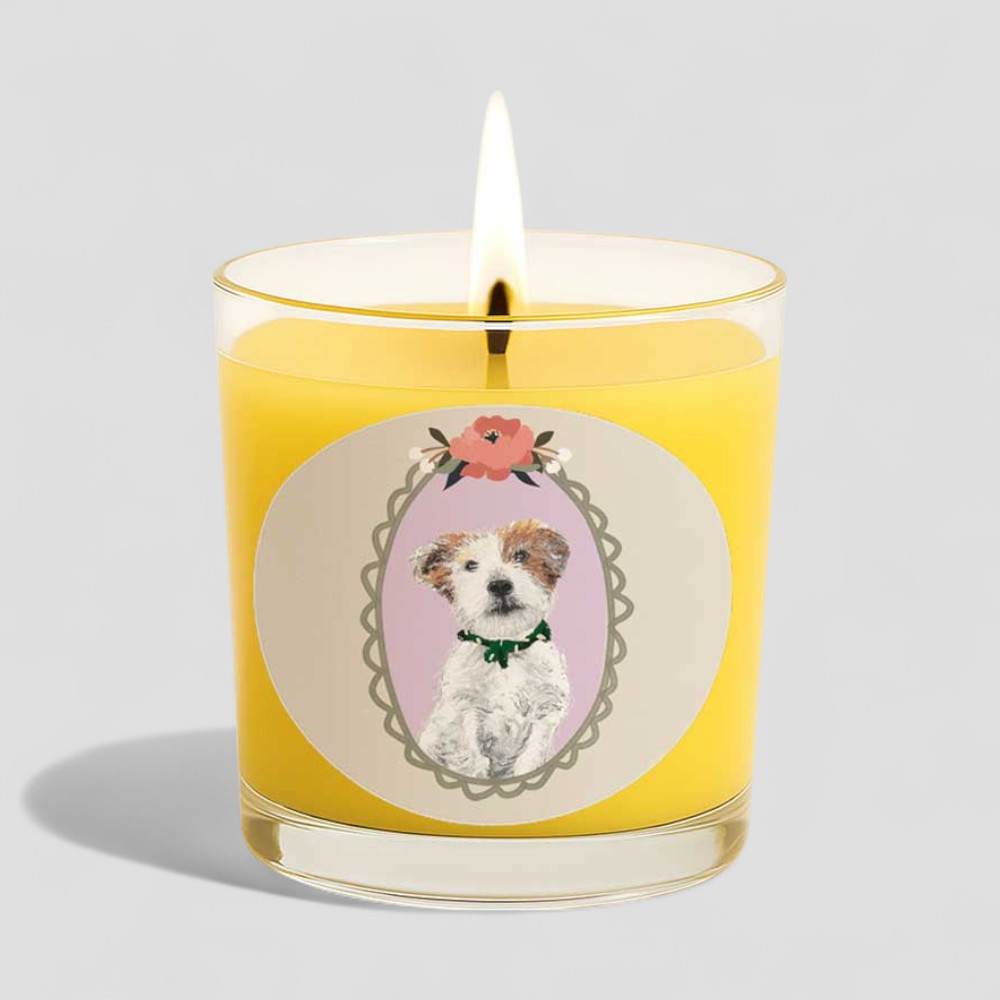 Vanilla scented candle with dog illustration on box and glass burning on white background