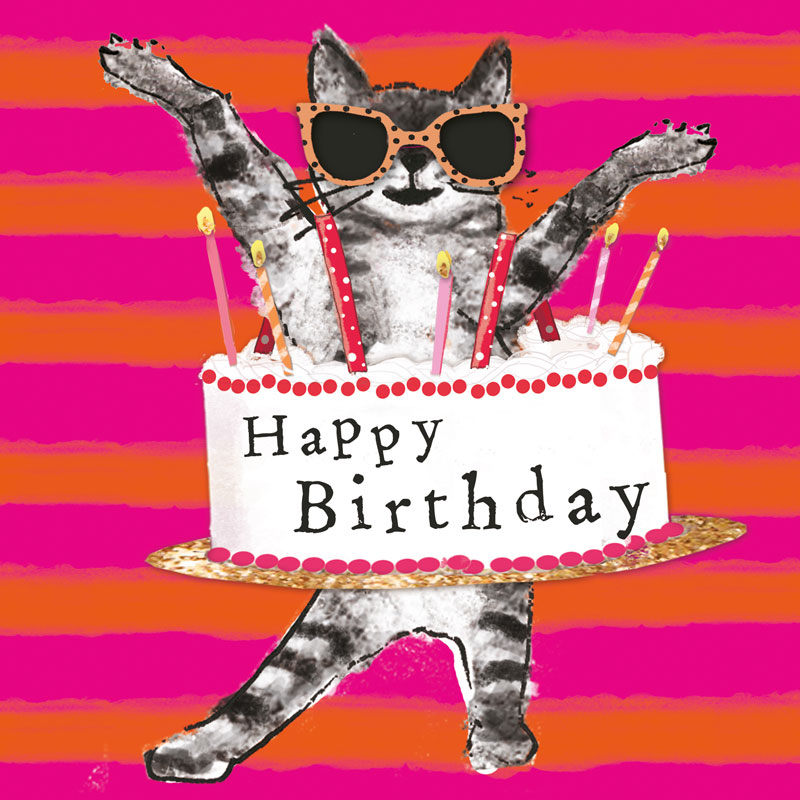Happy Birthday cat