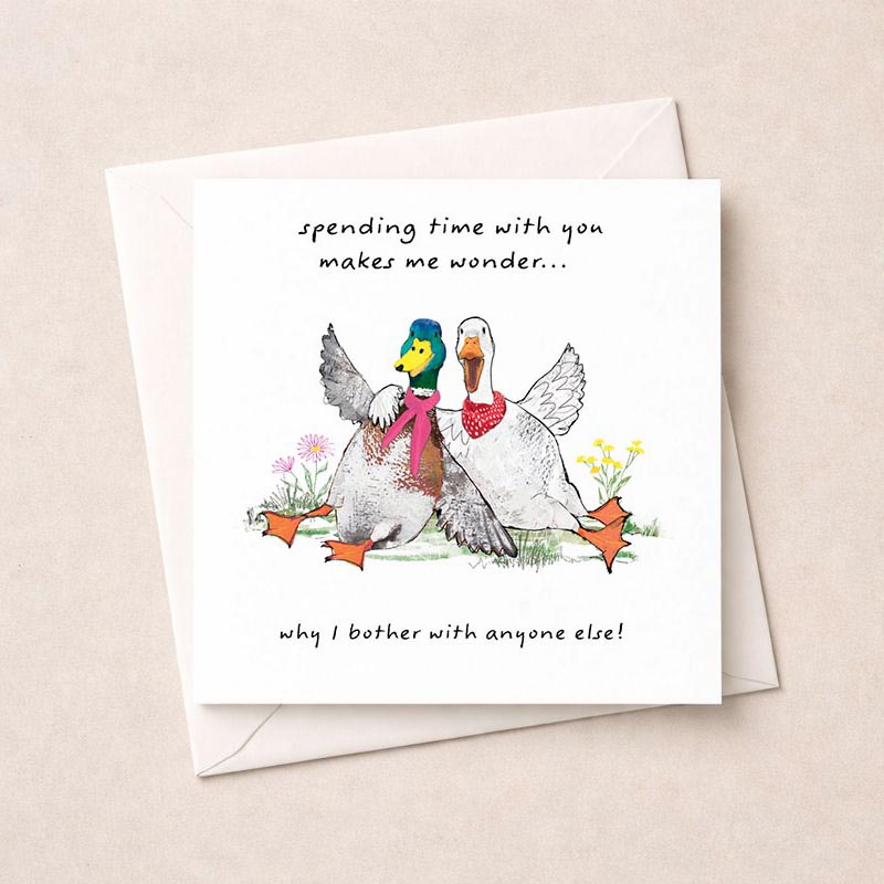 Two cute ducks sitting side by side on a charming pink greetings card. Perfect for sending warm wishes to a loved one or friend.