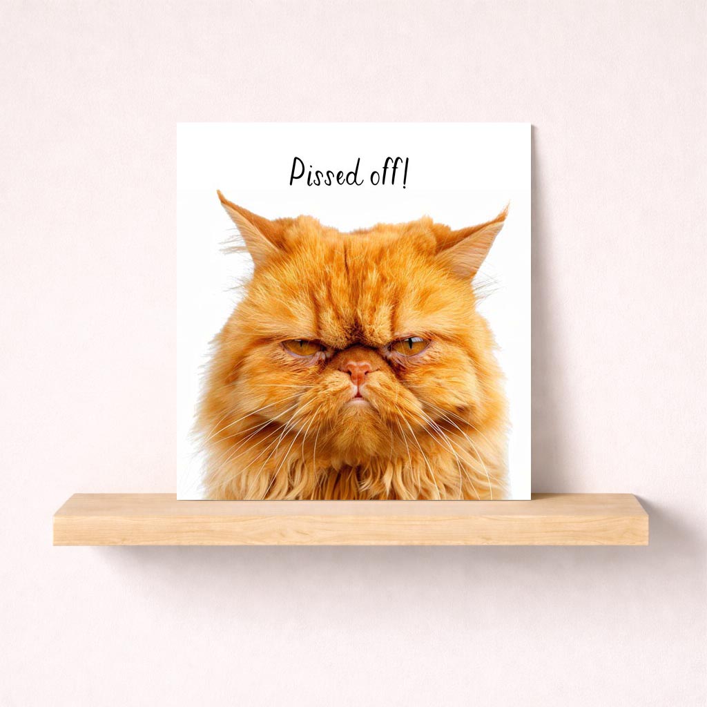 Quirky greetings card with cute cat saying "pissed off" in warm colours - perfect for a laugh!