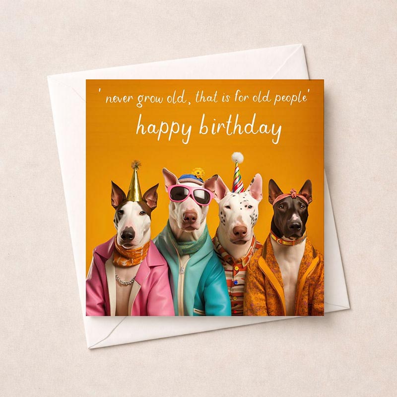 Three dogs in sunglasses and a birthday hat on a vibrant greetings card. Perfect for dog lovers or anyone who loves cute designs.