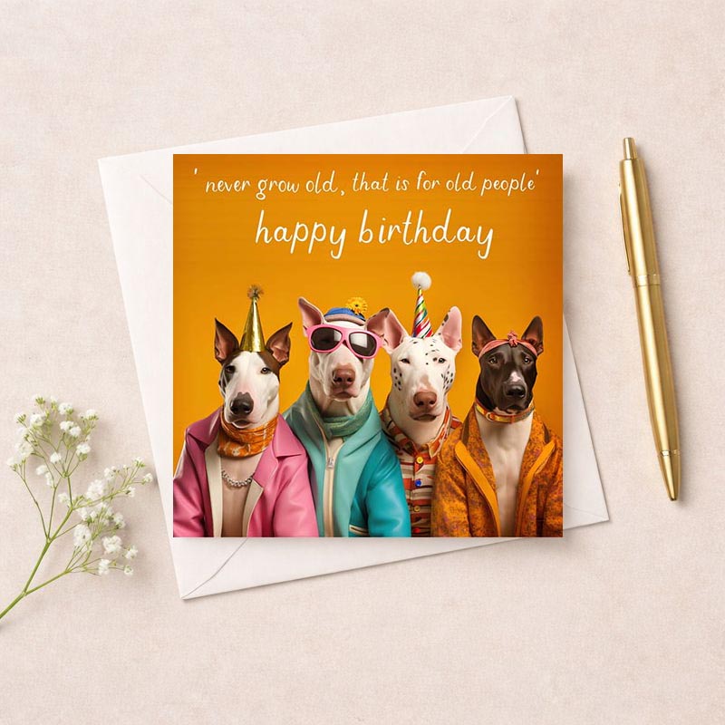 Three dogs in sunglasses and a birthday hat on a vibrant greetings card. Perfect for dog lovers or anyone who loves cute designs.