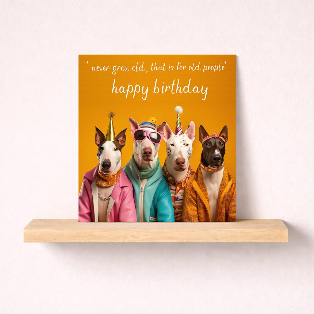 Three dogs in sunglasses and a birthday hat on a vibrant greetings card. Perfect for dog lovers or anyone who loves cute designs.