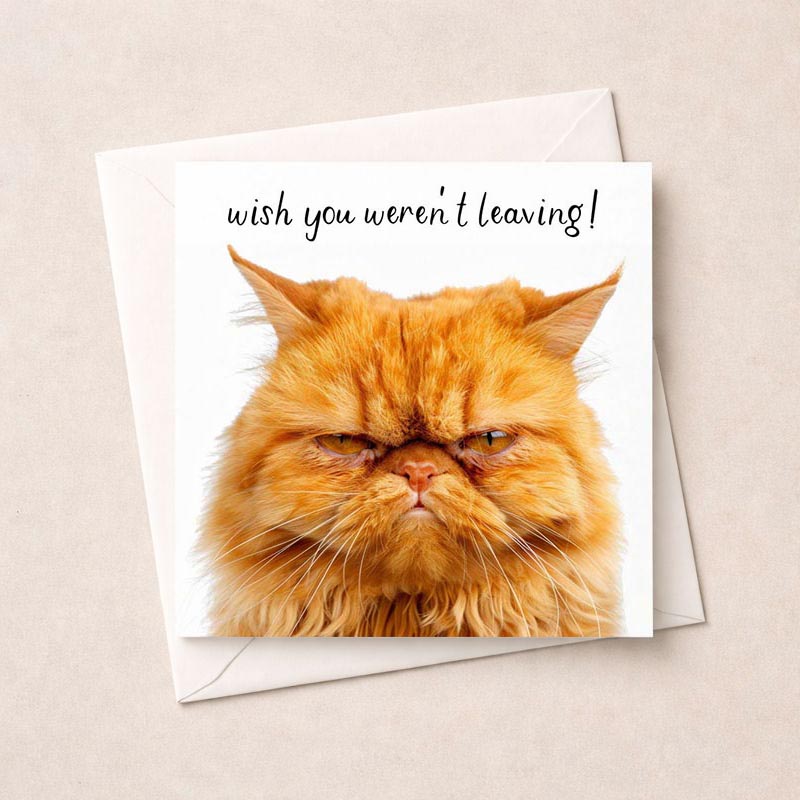 Adorable cat-themed greetings card saying "wish you weren't leaving" evokes warm sentiment, perfect for farewells and long-distance relationships.