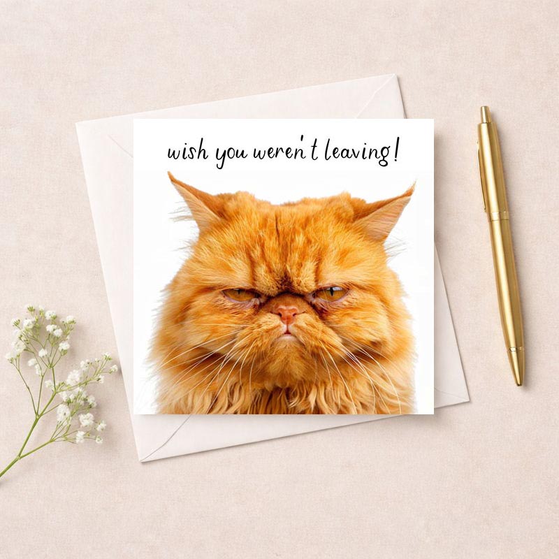 Adorable cat-themed greetings card saying "wish you weren't leaving" evokes warm sentiment, perfect for farewells and long-distance relationships.