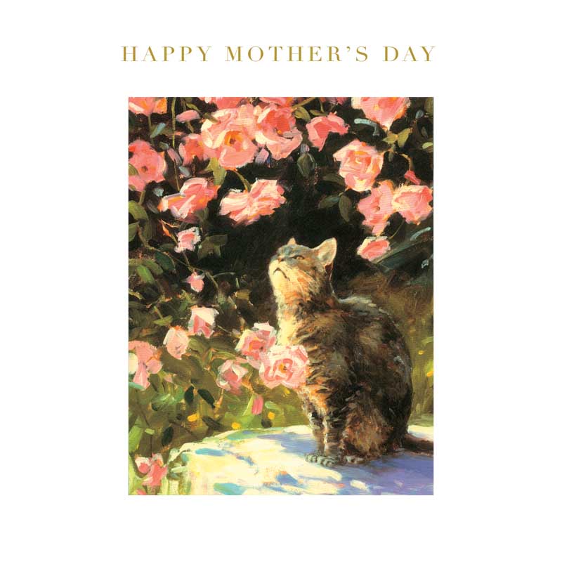 Cat In The Garden Mother's Day greetings card with cat and pink roses, perfect for cat and flower-loving moms.