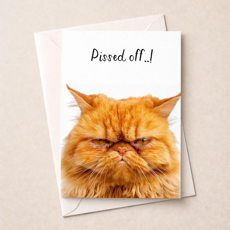 A cute cat with a sad face on a greetings card, perfect for sending a heartfelt message.