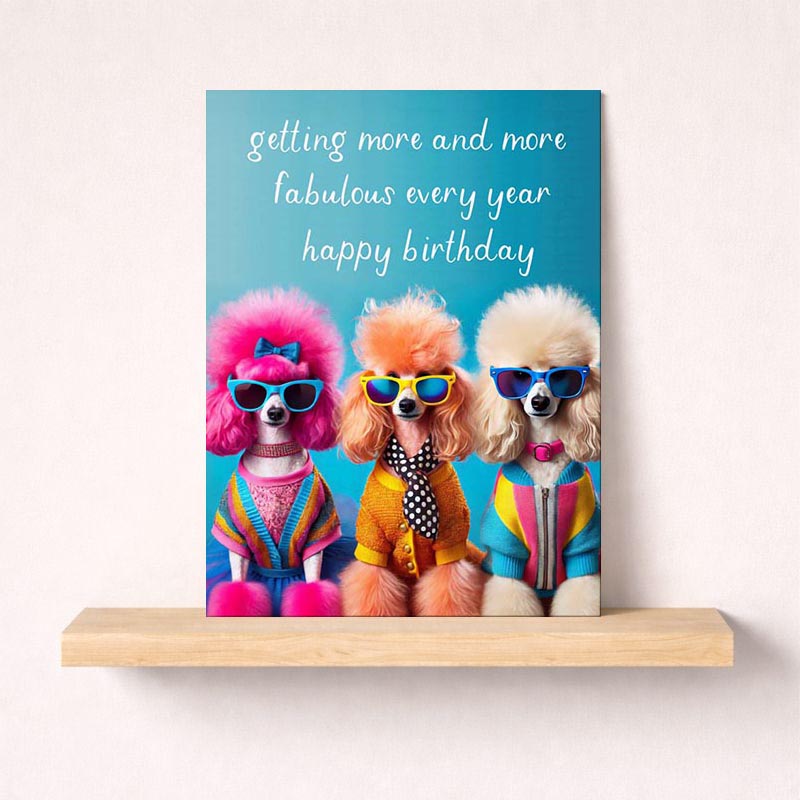 Three poodle dogs in sunglasses and a sweater on a greetings card. Perfect for dog lovers and those needing a smile!