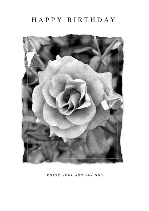 Elegant black and white birthday card with rose and "happy birthday" wishes. Perfect for any special occasion.
